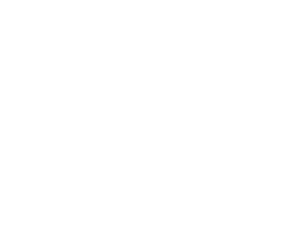 Intervox